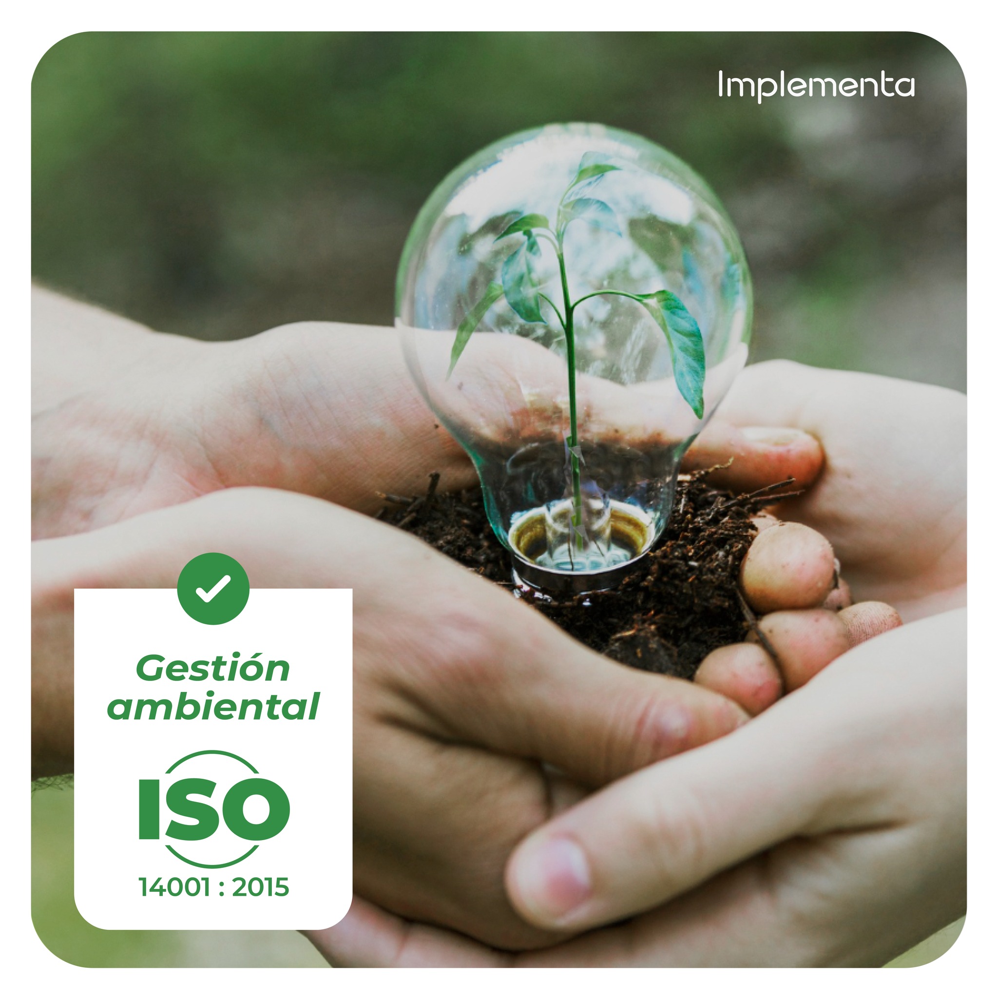 428002336_953596836768175_7667262320789196140_n