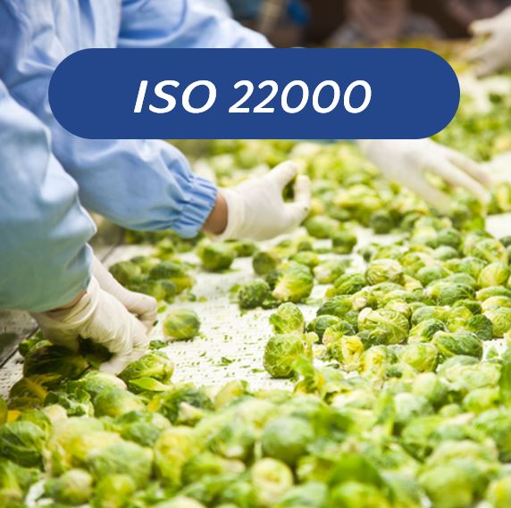 ISO 22000_3